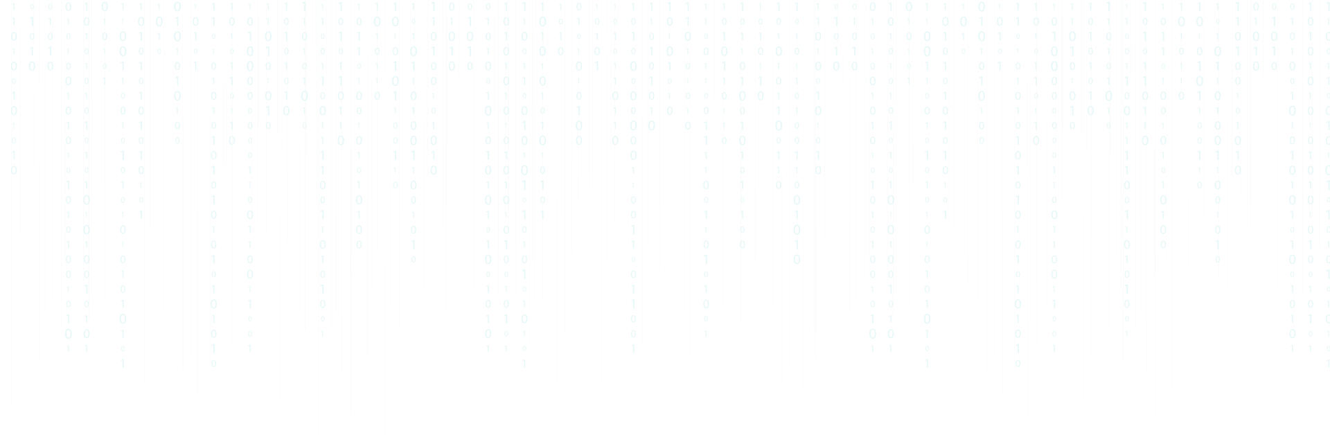 Dev {Web & App developer}